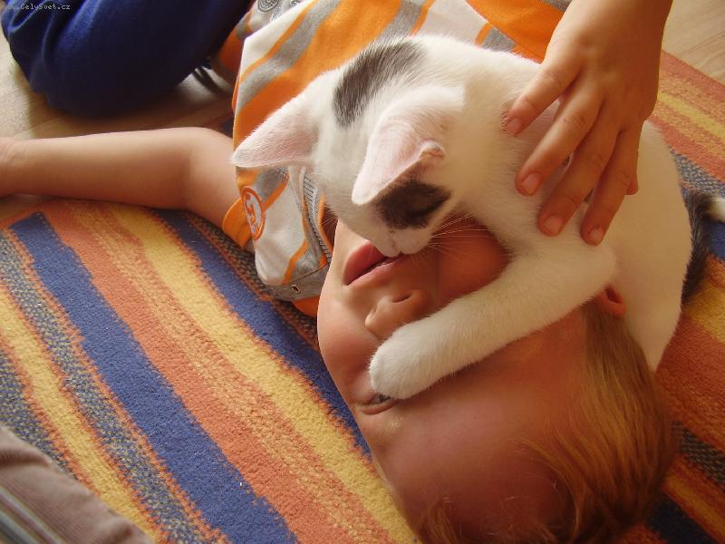 Foto: Zav�i o�i,brouku!-d�t� a ko�ka