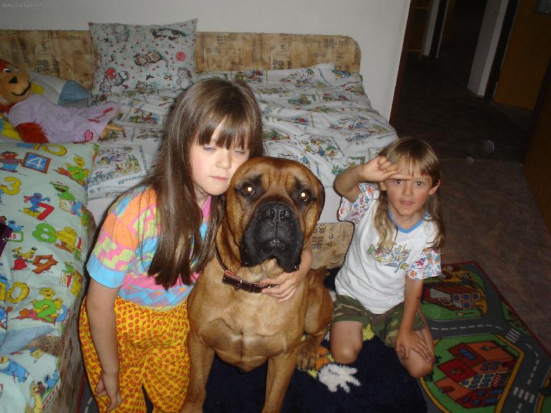 Foto: I takov� pes byl �tulku