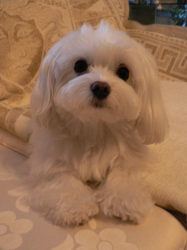 Foto: Na�e Meggy-l�b�m se ?