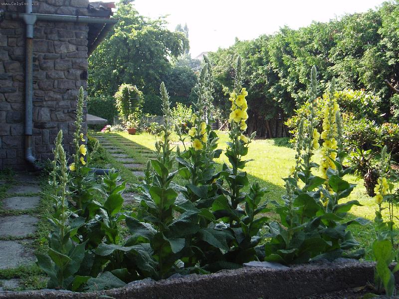 Foto: diviznov� n�let