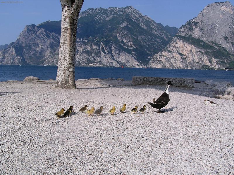 Foto: Rodinn� proch�zka