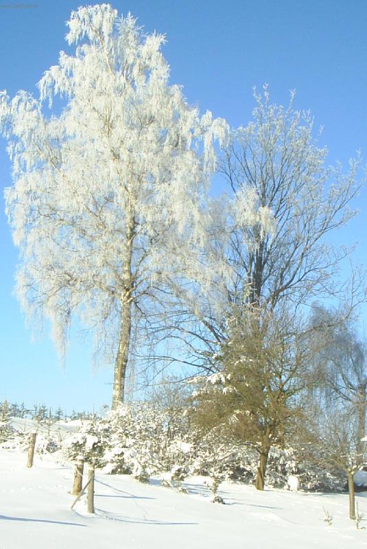 Foto: Zima-Nejni to krásný v zimě