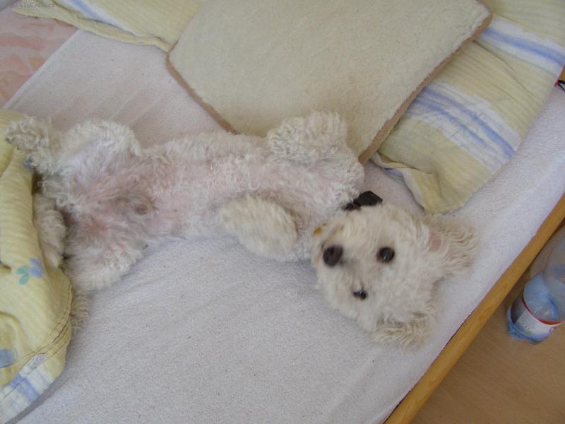 Foto: Andy-klaaasneee=)