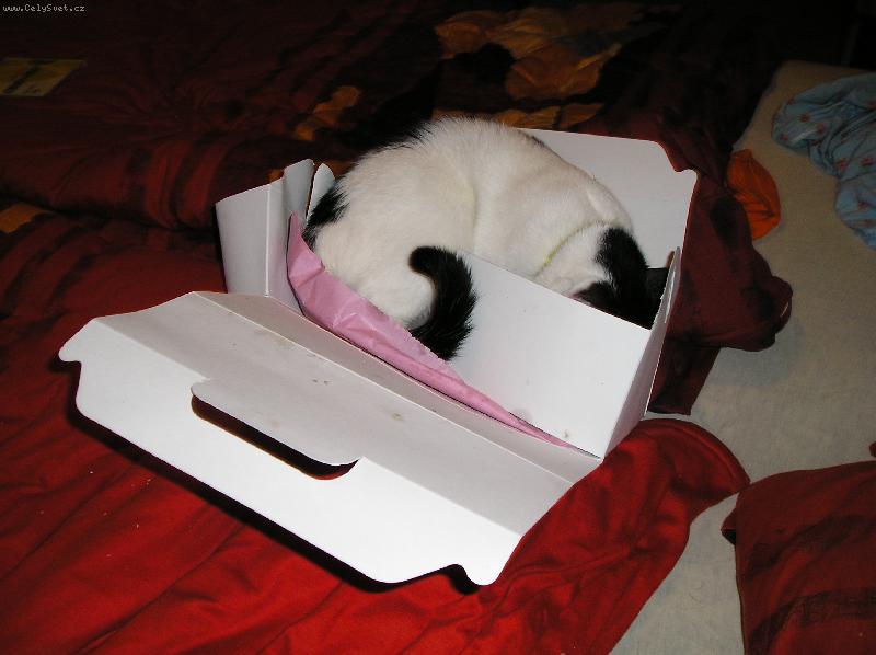 Foto: Z�kusky mi moooc chutnaly