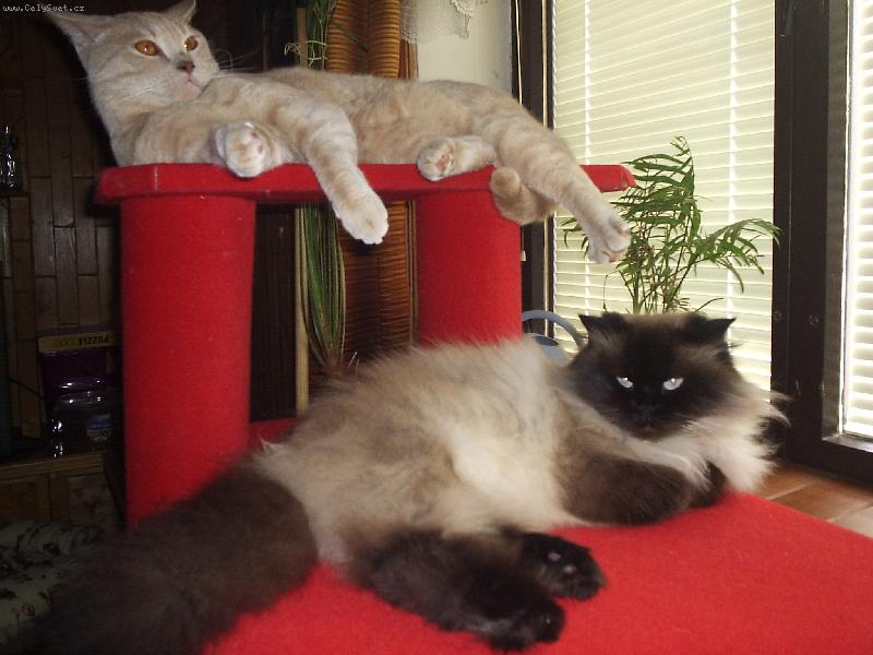 Foto: odpo�inek-Pi�ta a Nyky