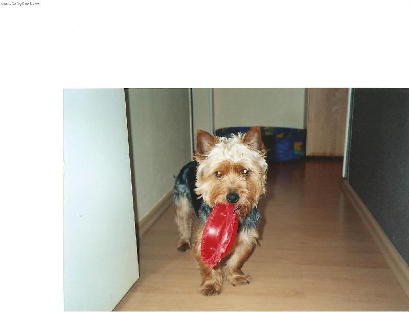 Foto: to je moje miska