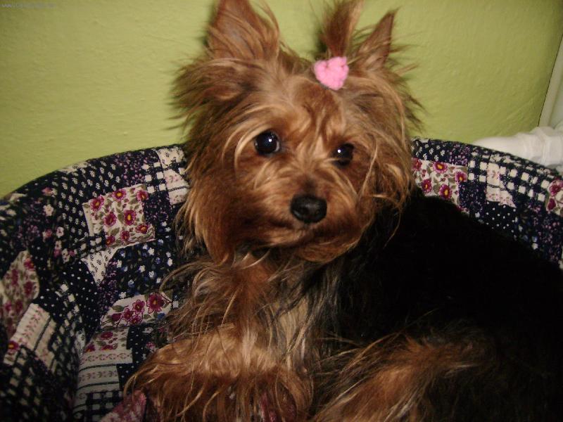 Foto: Na�e modelka...