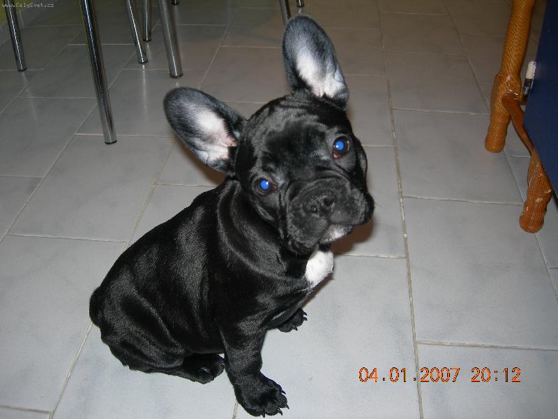 Foto: miloucka,sladka,proste na�e