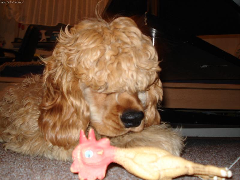 Foto: Arnold-Arny p�em��l�