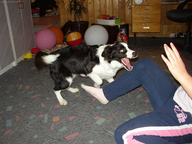 Foto: �ja-krysalka