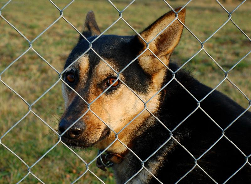 Foto: Samota-plot,osamocen�