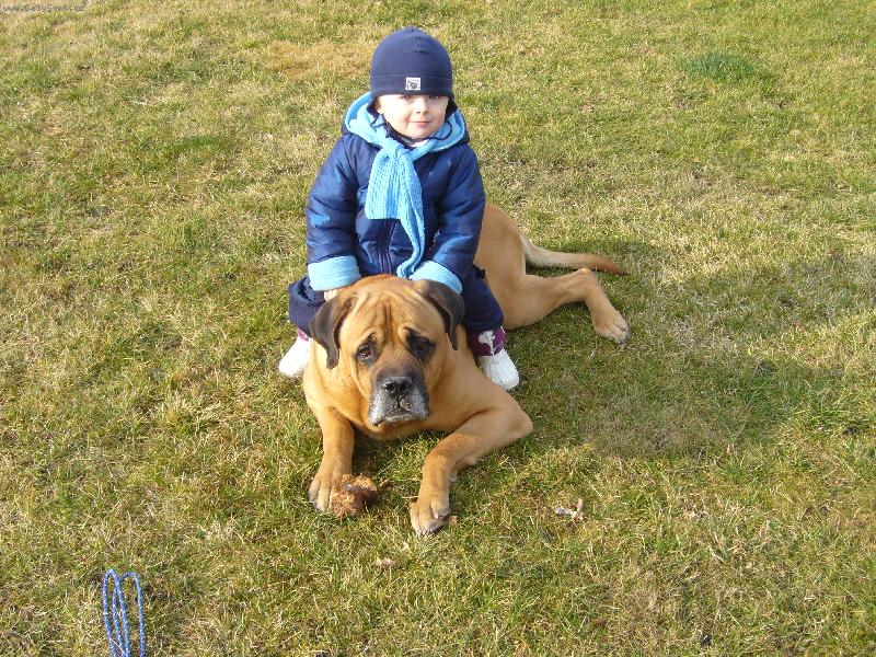 Foto:  NA�I MIL��CI-A JEDEM