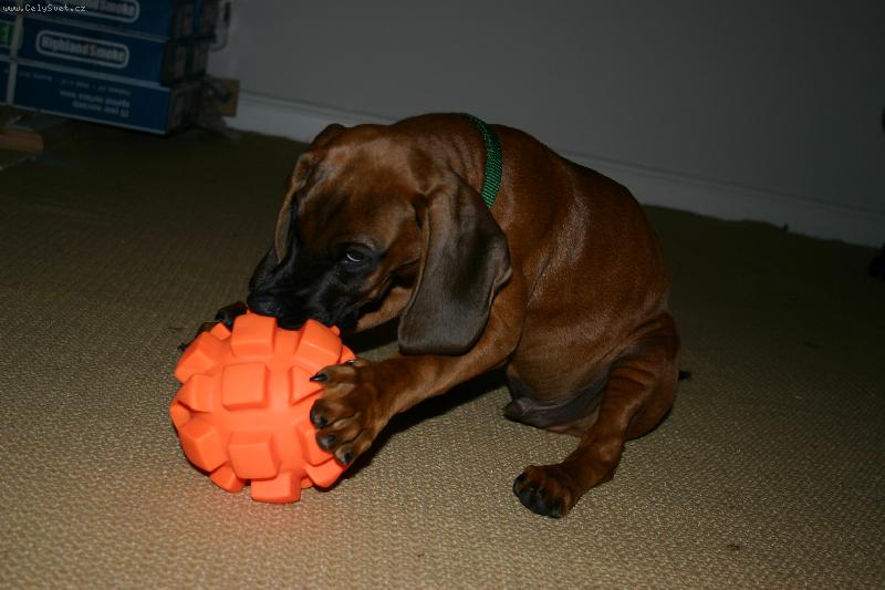 Foto: Musim to aspon ukousnout!