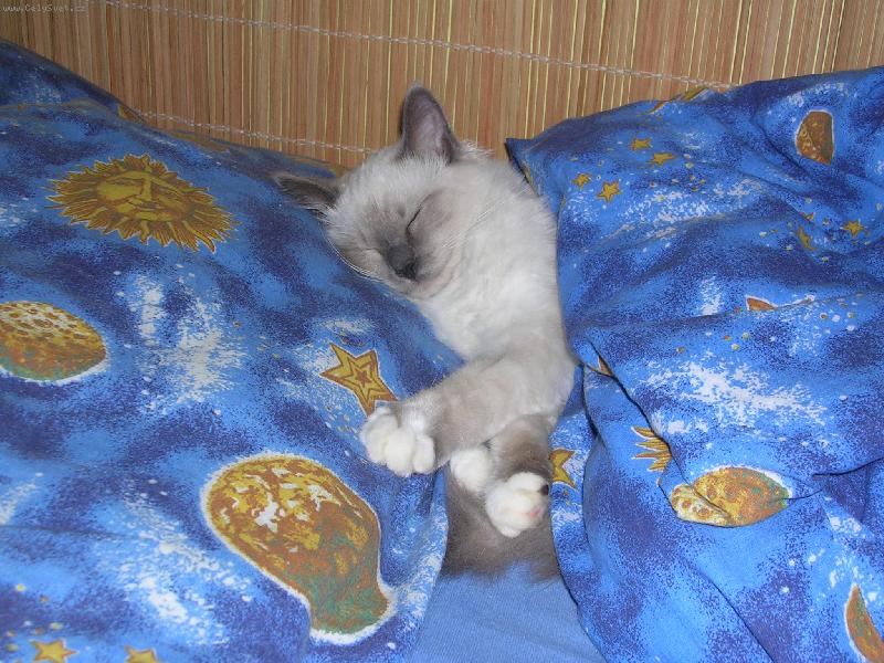 Foto: chrrrrrr....p�����.....