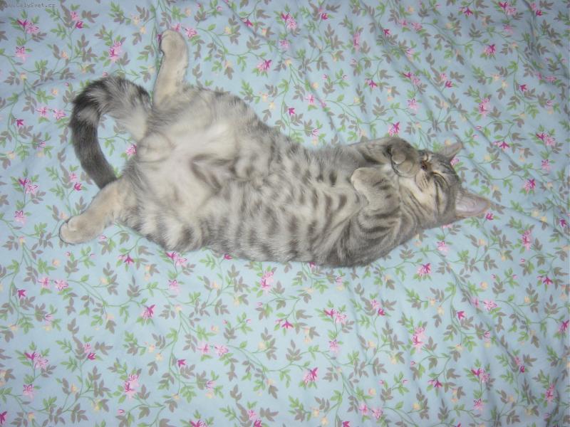 Foto: �����, to je pohodi�ka...-N� Mac�k si to u��v�!!!