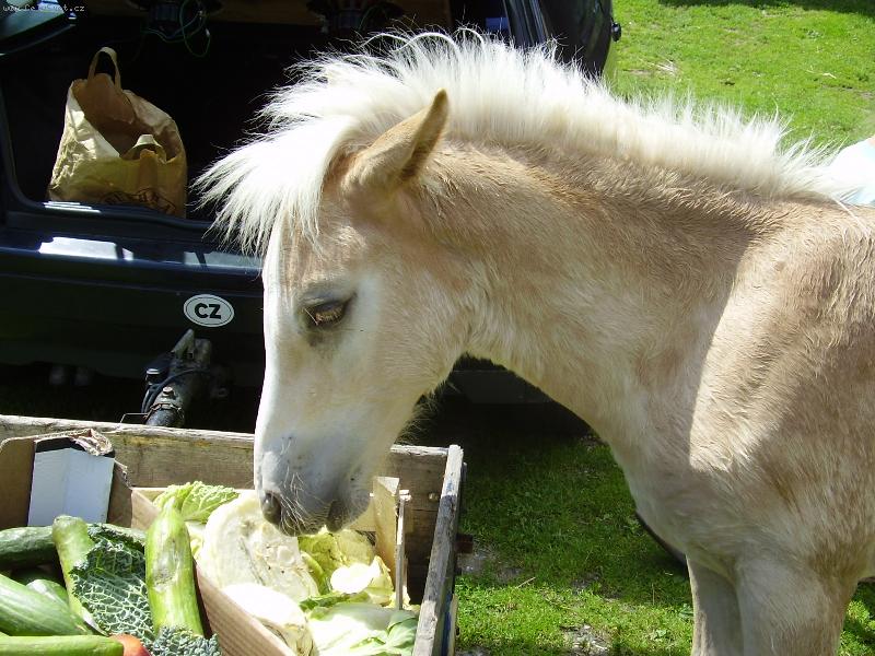 Foto: na�i mil��kov�