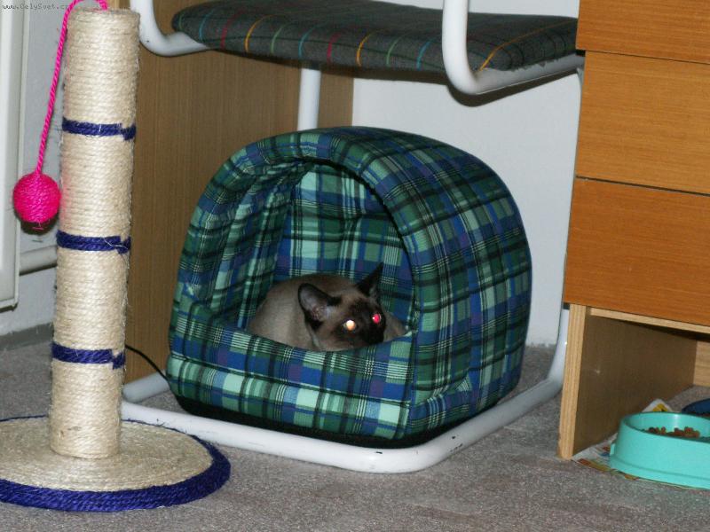 Foto: N�� MICINEK