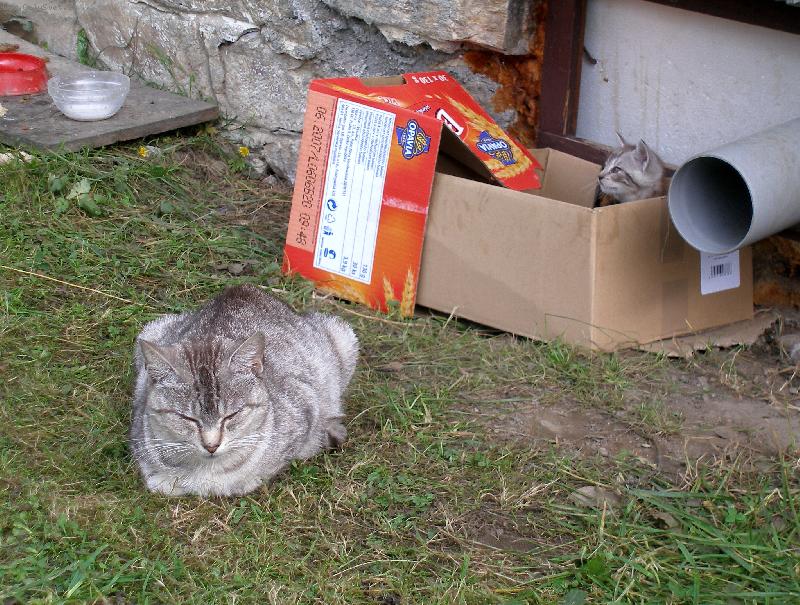 Foto: SVOBODN� MATKA-�IJU JAK BEZDOMOVEC