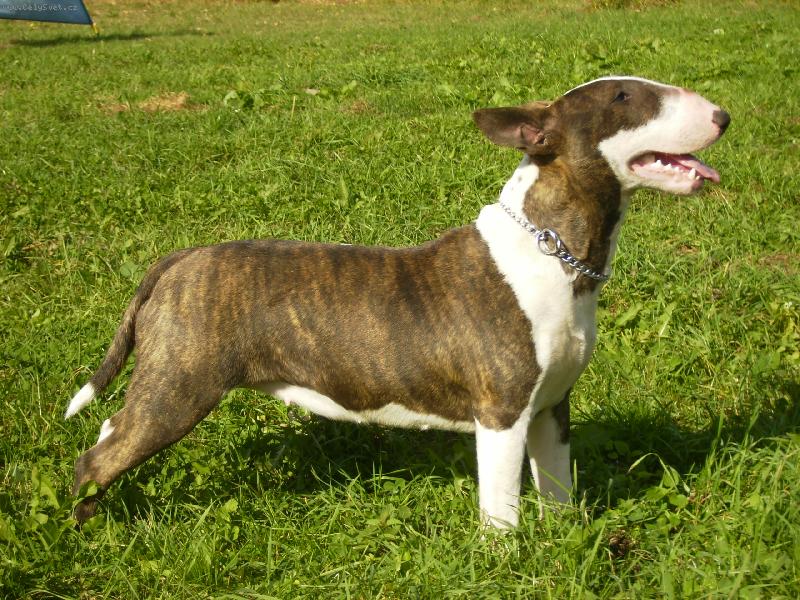 Foto: Cloe-jak vypad�m...