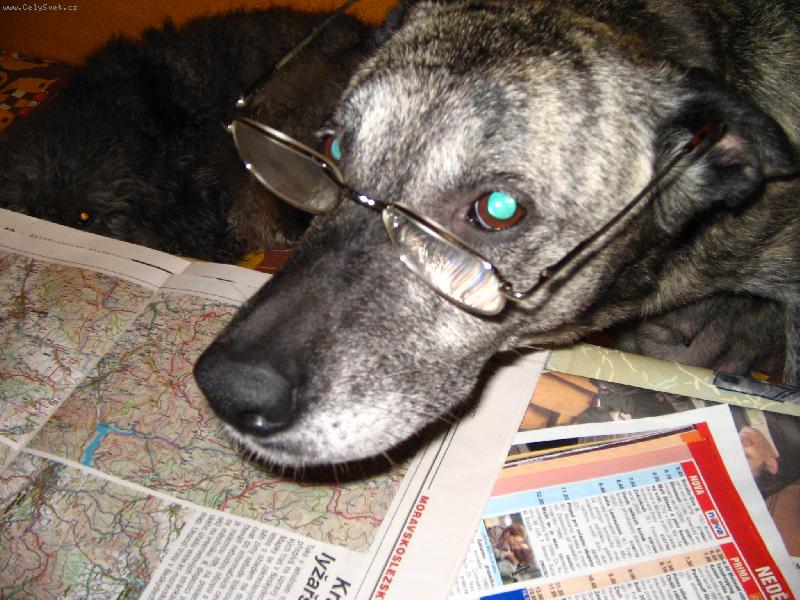 Foto: Cestovatelka-s mapou nem�m probl�my :)