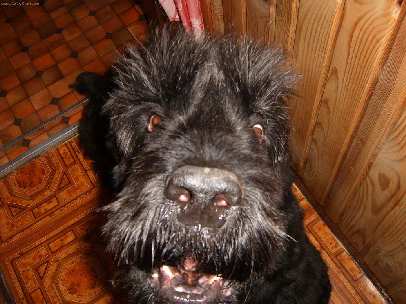 Foto: Aron-D�ti znaj� Barbuchu z ve�ern��ku my ji m�me doma :)