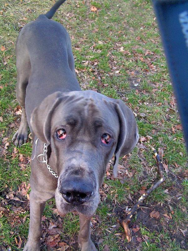 Foto: rozmazan� Ajda