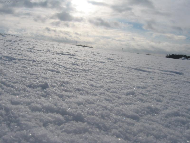 Foto: Z pohledu brouka:))-nen� to kr�sn�??:-*