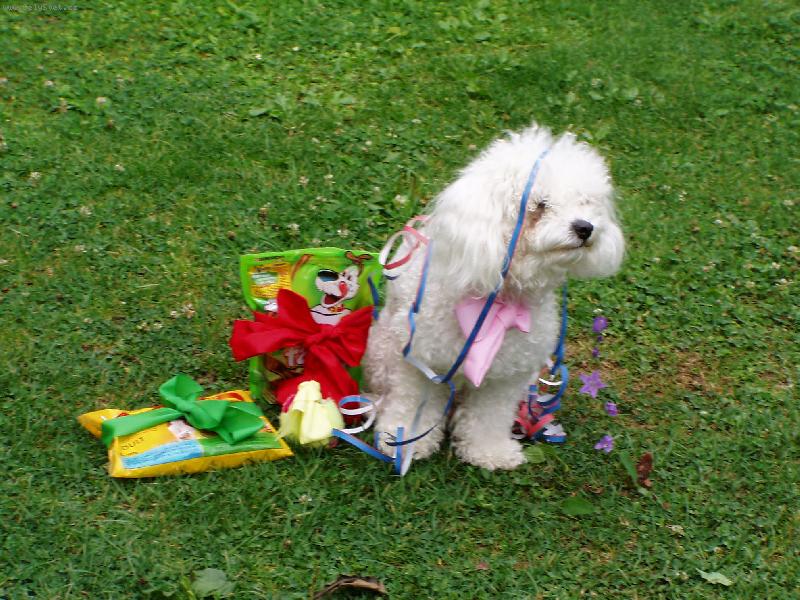 Foto: Jessica oslavuje