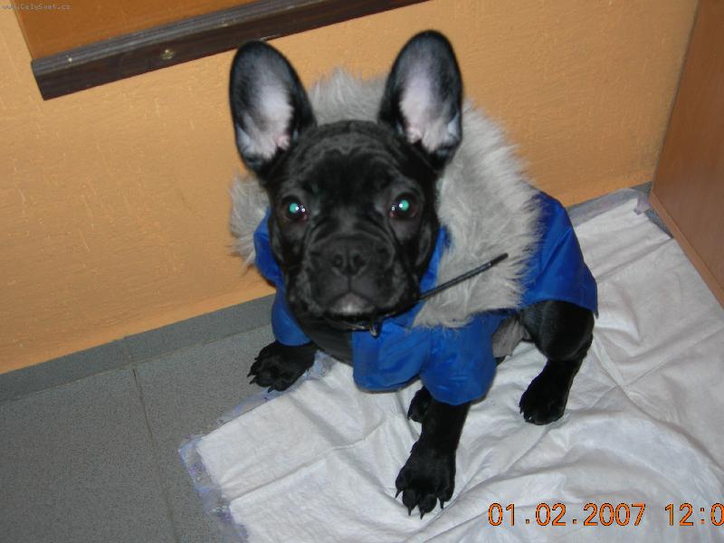 Foto: Kab�tek u�it� na m�ru.