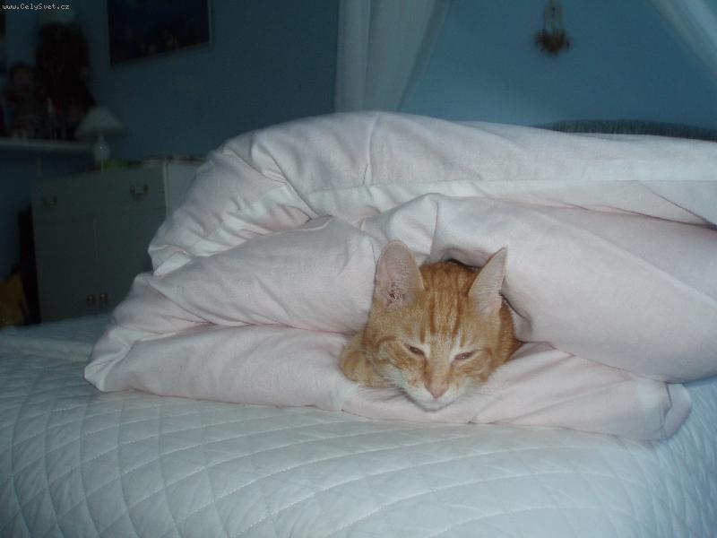 Foto: douf�m, �e m� tu nenajdou...