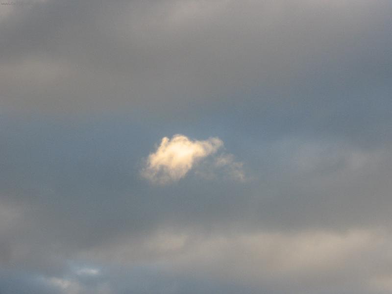 Foto: mrak p�ipom�naj�c� medv�da (po zv�t�en�)