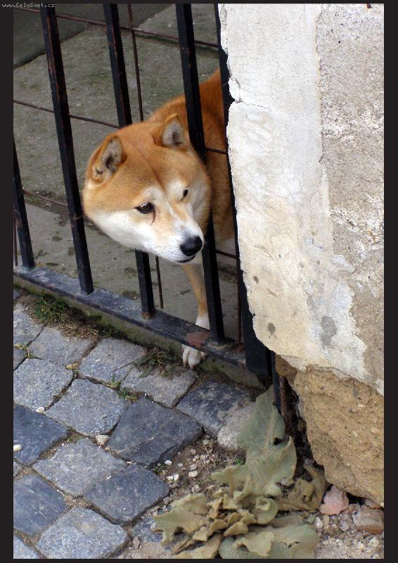 Foto: J� to ohl�d�m