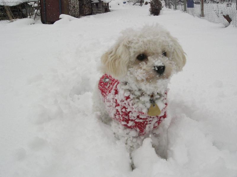 Foto: kone�n� zima