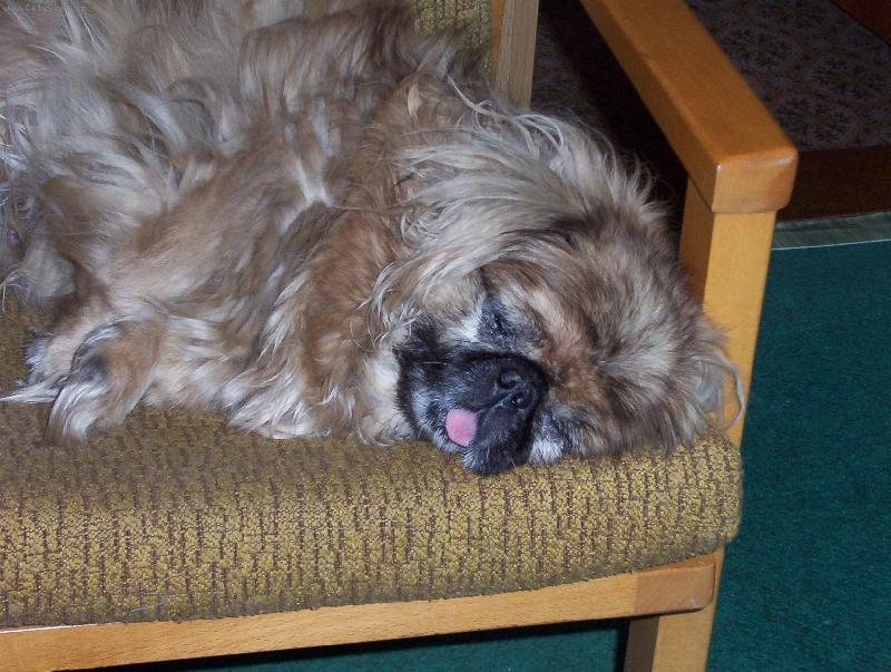 Foto: Bodie-Tvrd� sp�nek