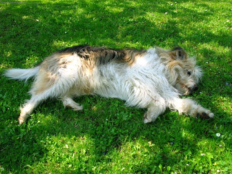 Foto: Mrtvej Ben�k-Nebojte to j� takhle jen odpo��v�m