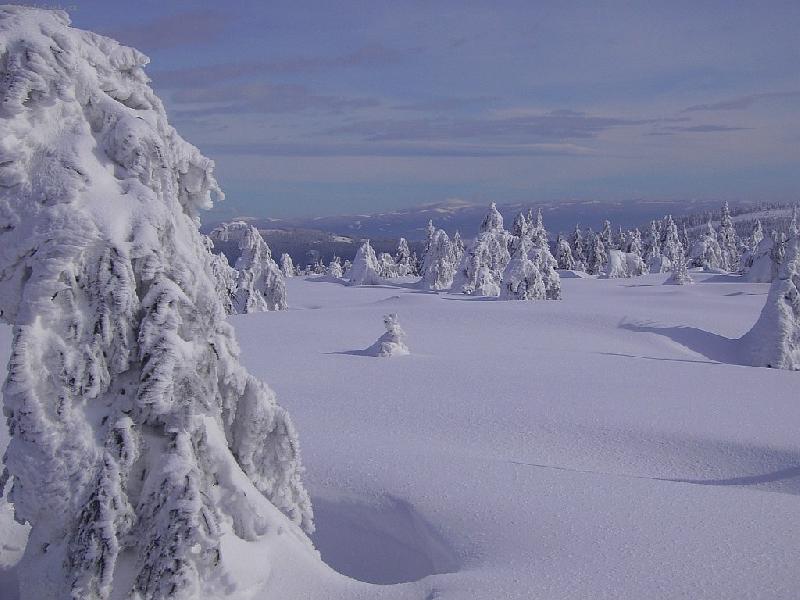 Foto: bez koment��e-Orlick� hory