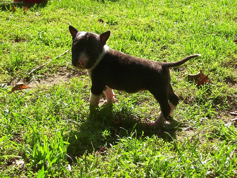 Foto: To je p�za �e??