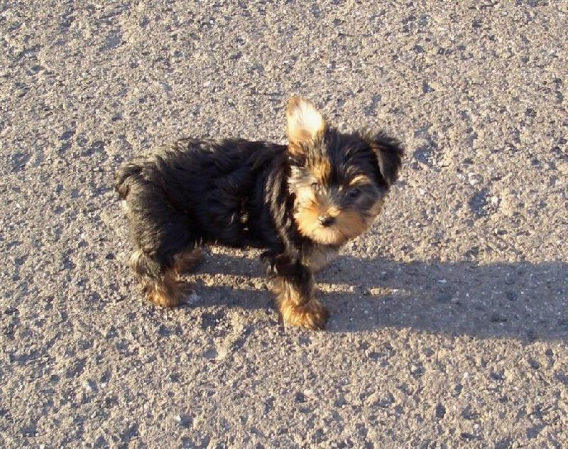 Foto: Terrynka-�t���tko...