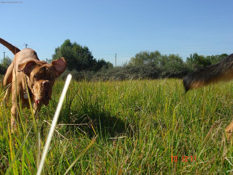 Foto: uz bezim- Berrylka