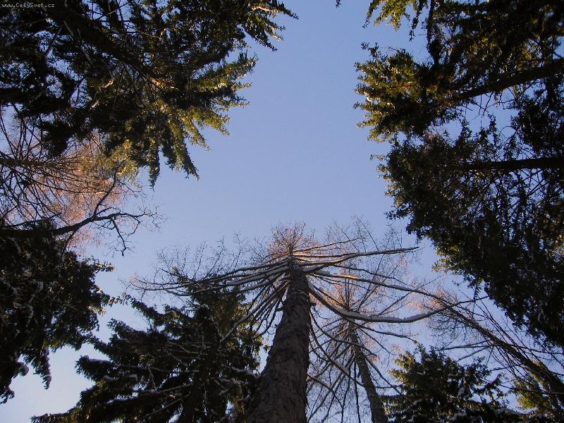 Foto: �eb��k do nebe