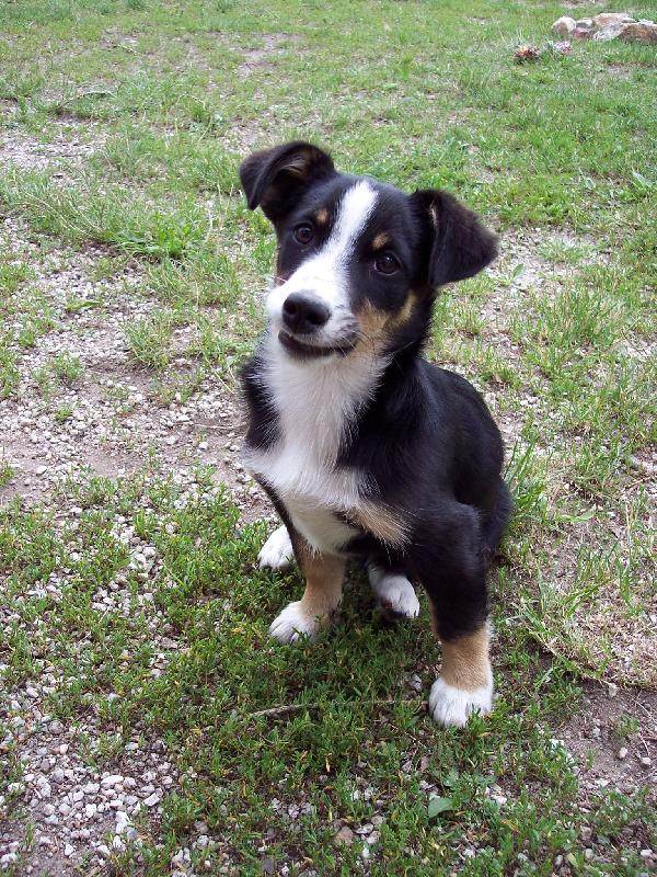 Foto: Vezme� si m� :o)