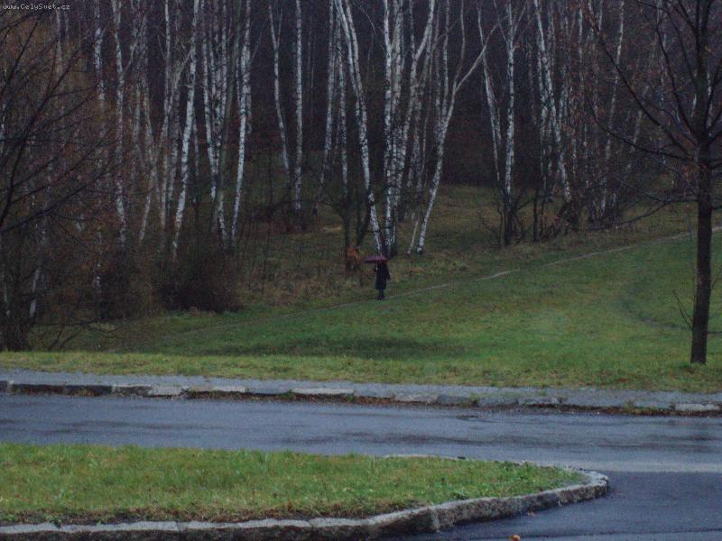 Foto: Podzimn� de�t�