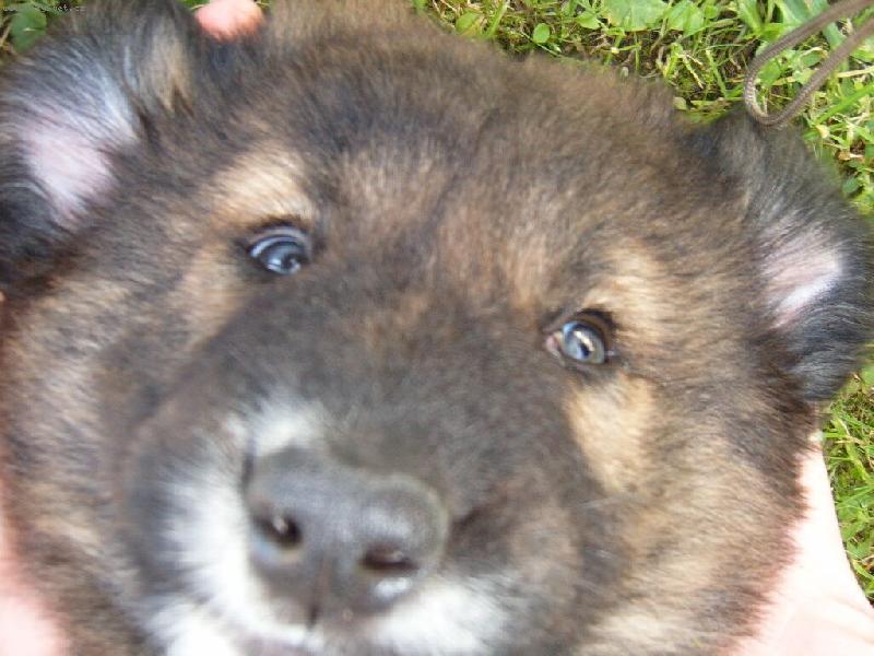 Foto: Nerinek-Na sv�t se d�v�m p�kn� z bl�zky