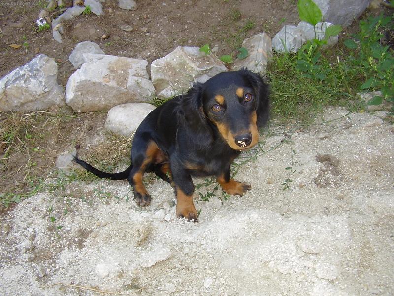 Foto: betinka-hezk� po�as�