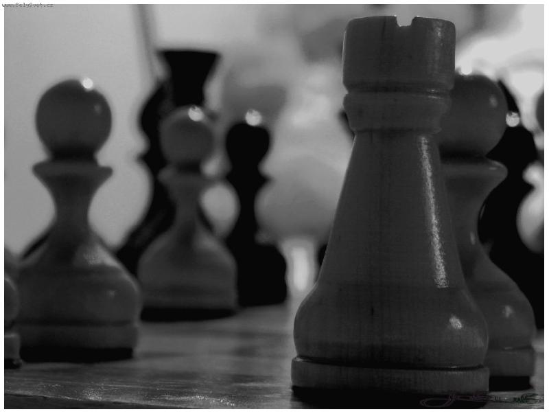 Foto: �ACHY - AUTORITA-Tak tro�ku n�co z jin�ho soudku :)