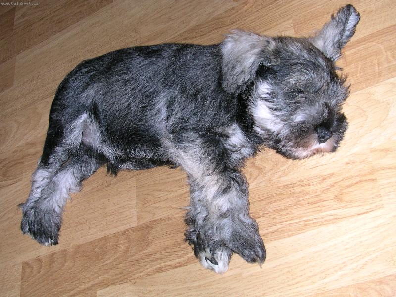 Foto: N� Ned-tady je Ned na hor�ch