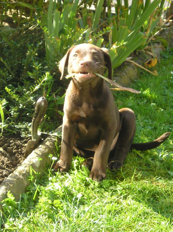 Foto: Dastu�-�sm�v pros�m!!!