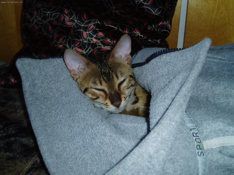 Foto: To je moje mikina-Dobrou noc