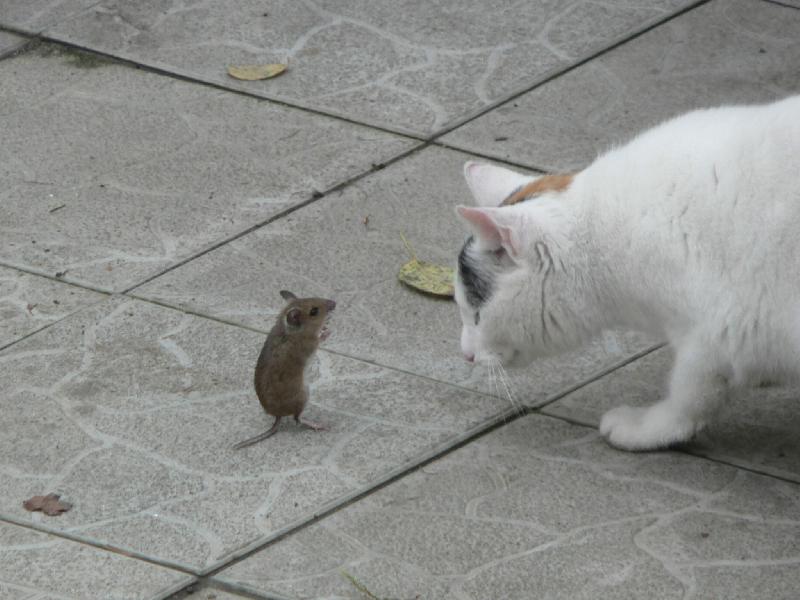 Foto: Franti�ka a my�-... no a pak m� ten my��k pozval na rande, hihihi.