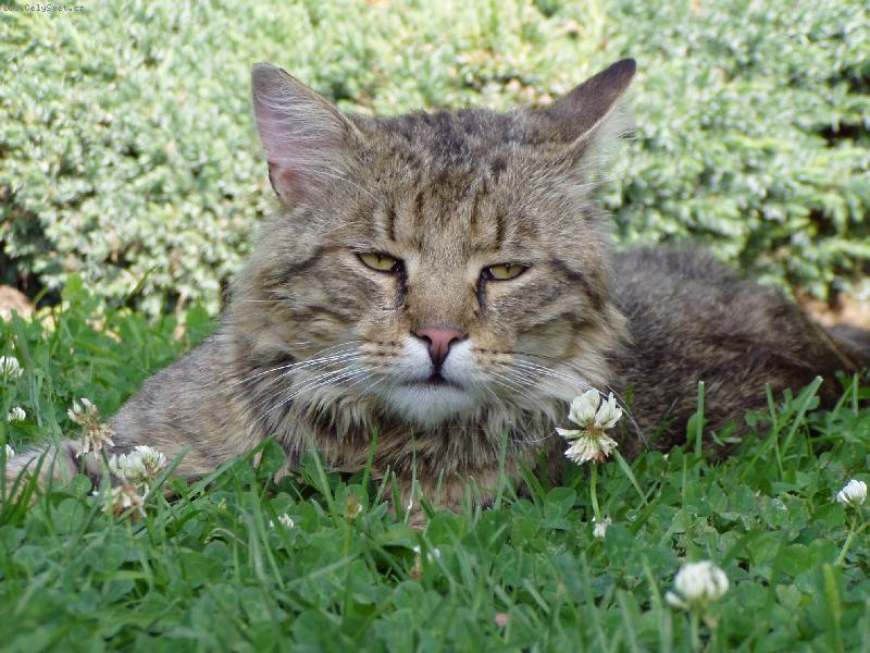 Foto: Mourina-Moc mi to nevon�...